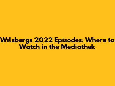 Wilsberg's 2022 Episodes: Where to Watch in the Mediathek