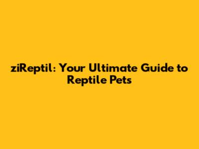 ziReptil: Your Ultimate Guide to Reptile Pets
